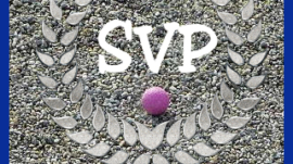 SVP toernooi
